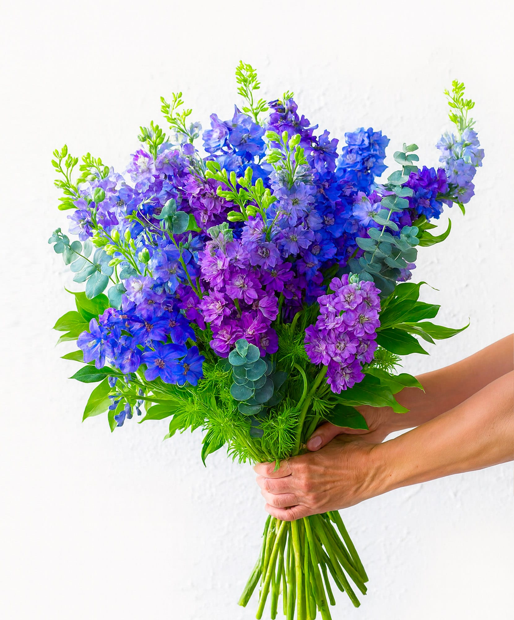 Vibrant bouquet of purple and blue delphiniums with fresh green foliage, ideal for celebrations.