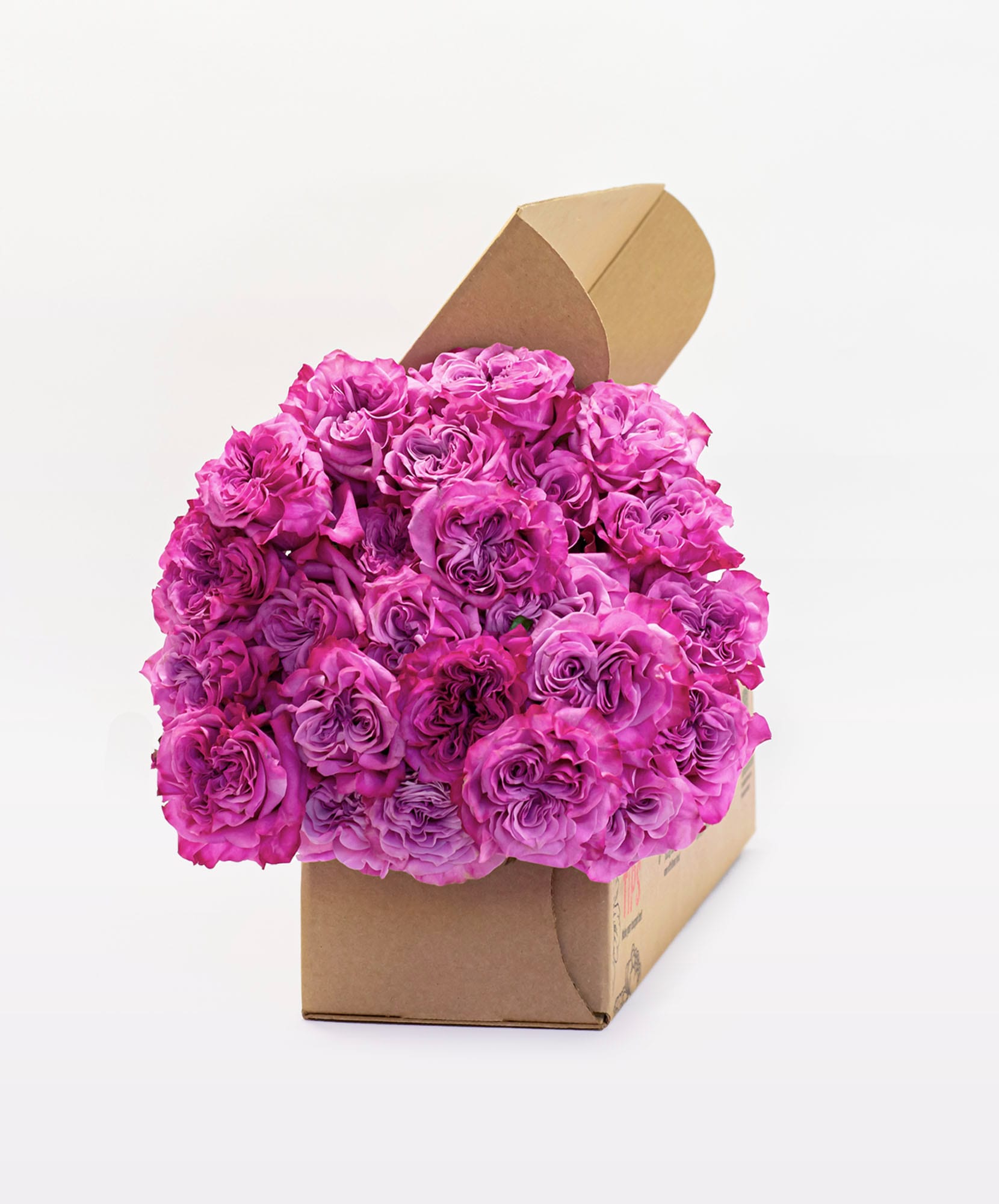 Vibrant pink roses arranged elegantly in a stylish delivery box, perfect for gifting.